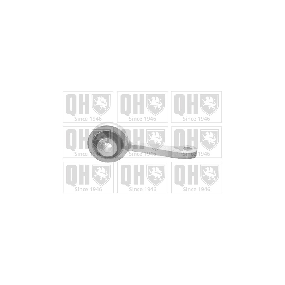 Image for QH QLS3344S Stabiliser Link - Front LH