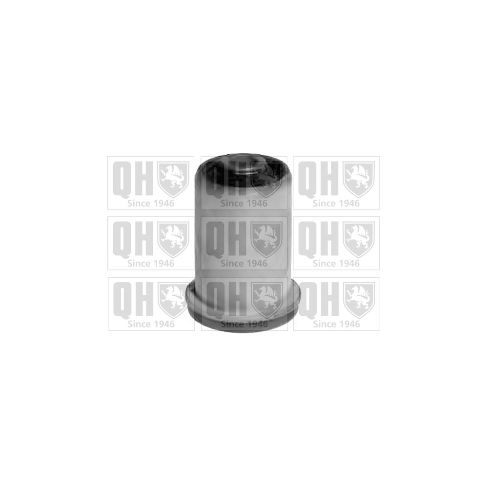 Image for QH EMS8291 Suspension Arm Bush - Rear Lower LH & RH (Inner)