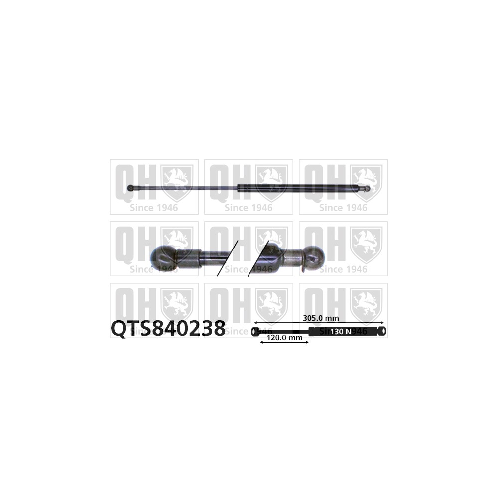 Image for QH QTS840238 Gas Spring