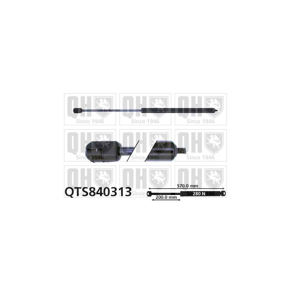 Image for QH QTS840313 Gas Spring