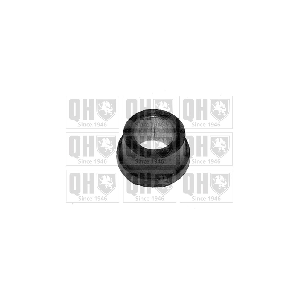 Image for QH EMS1662 Suspension Arm Bush - Front Lower LH & RH (Outer)