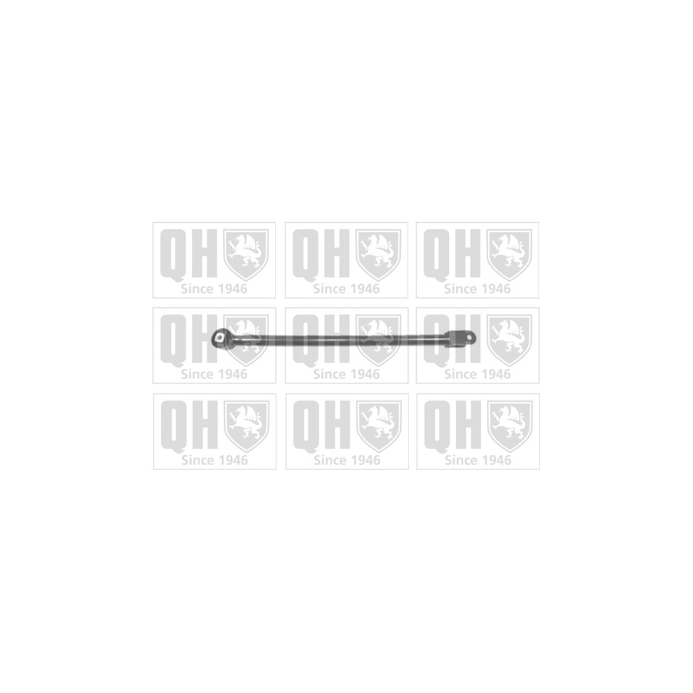 Image for QH QSJ3529S Suspension Arm - Rear Lower LH & RH