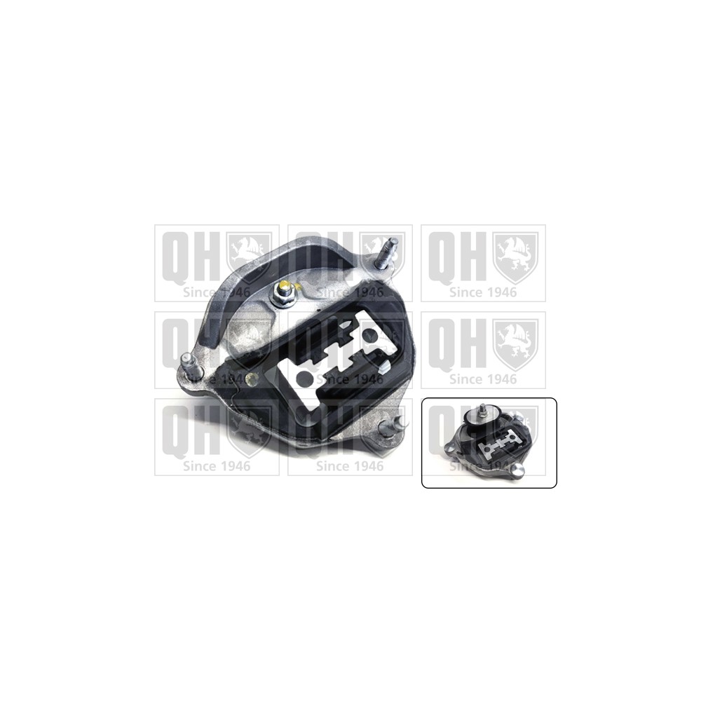 Image for QH EM4821 Engine Mounting