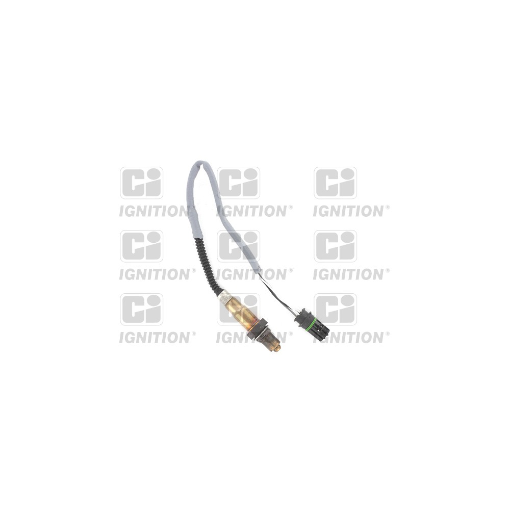 Image for Oxygen Sensor