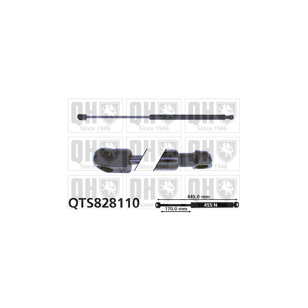 Image for QH QTS828110 Gas Spring