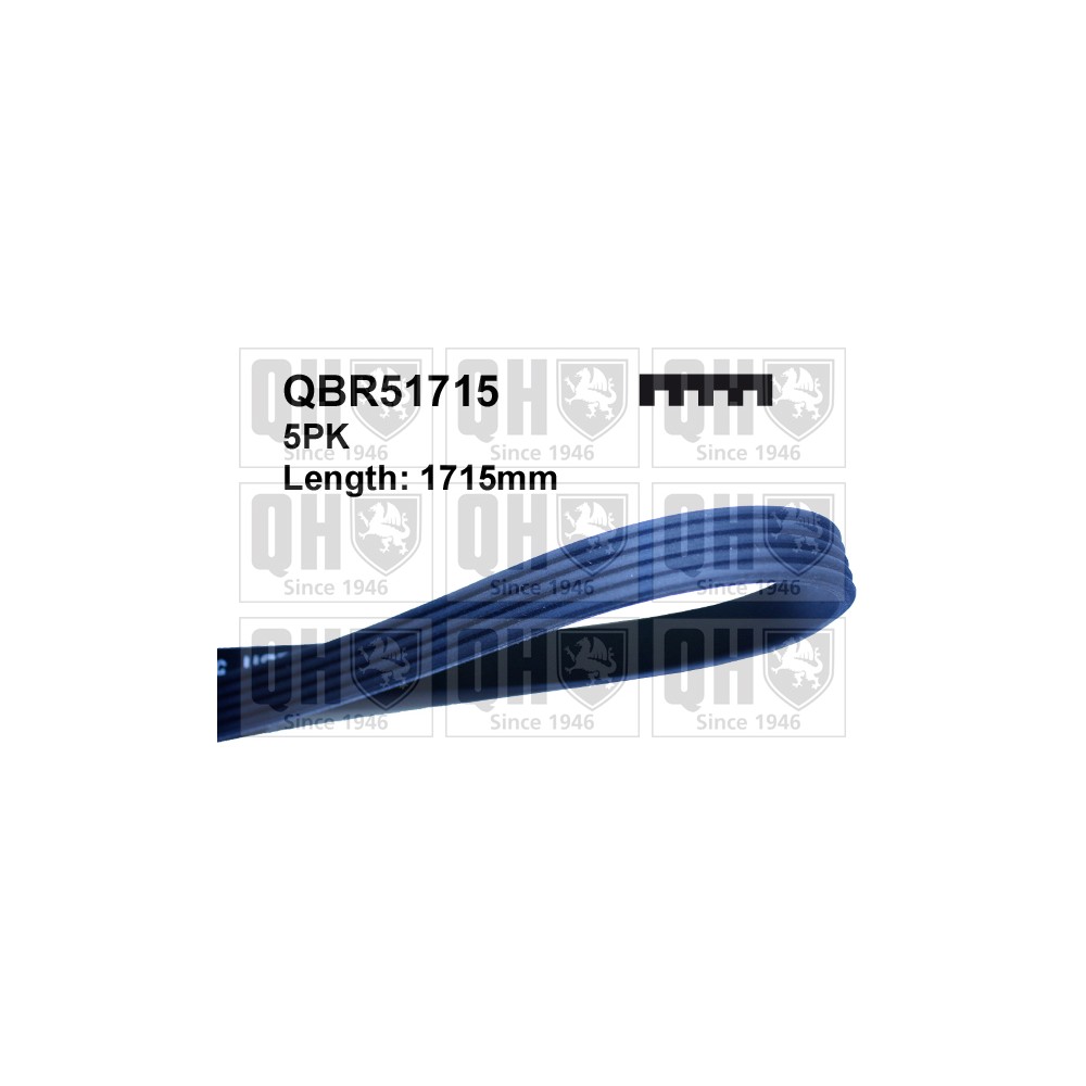 Image for QH QBR51715 Multi-ribbed belt