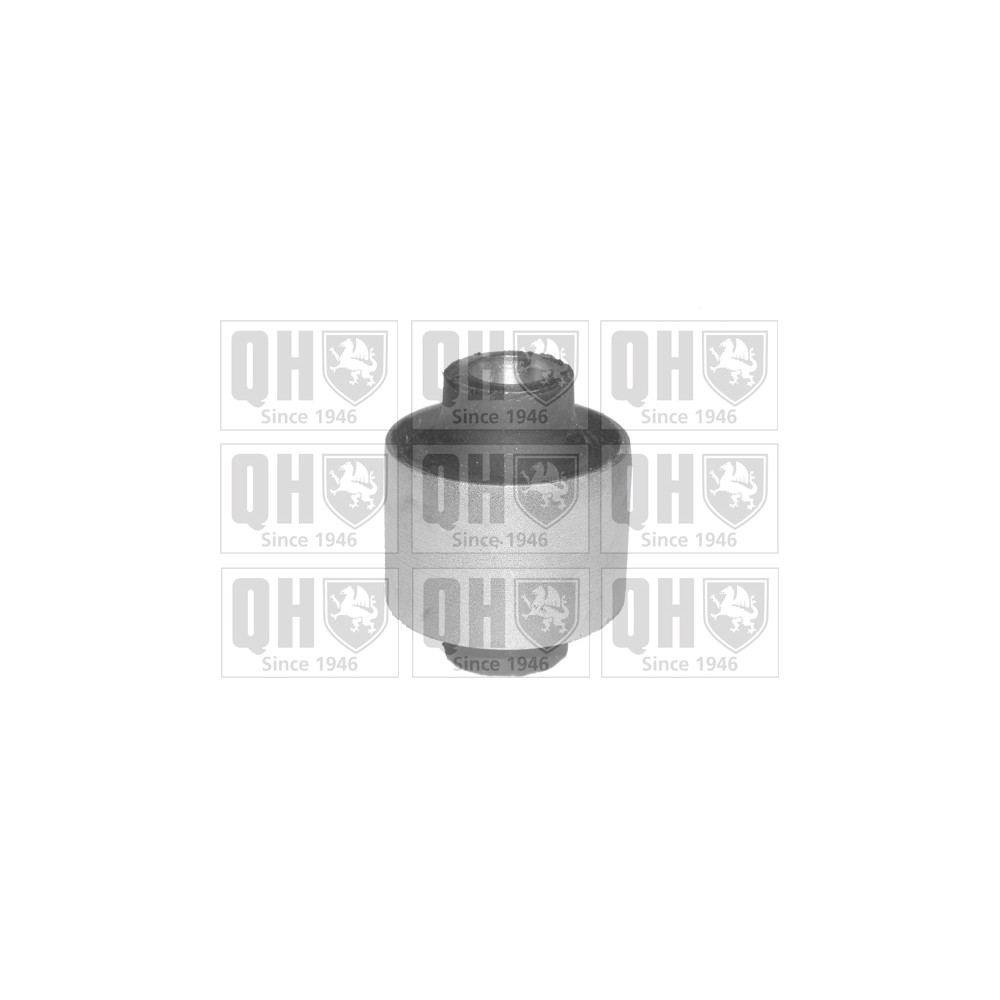 Image for QH EMS8141 Suspension Arm Bush - Rear