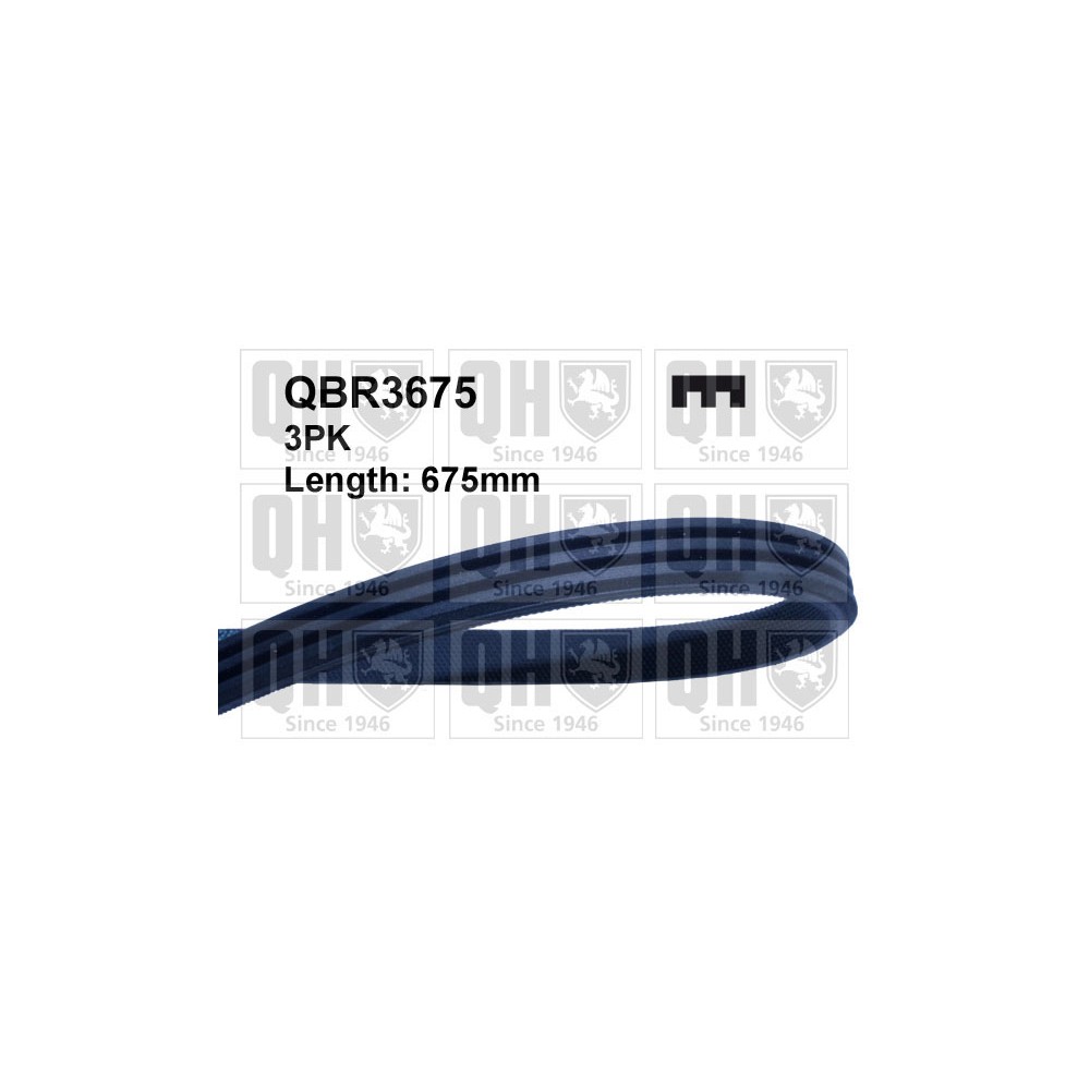 Image for QH QBR3675 Drive Belt