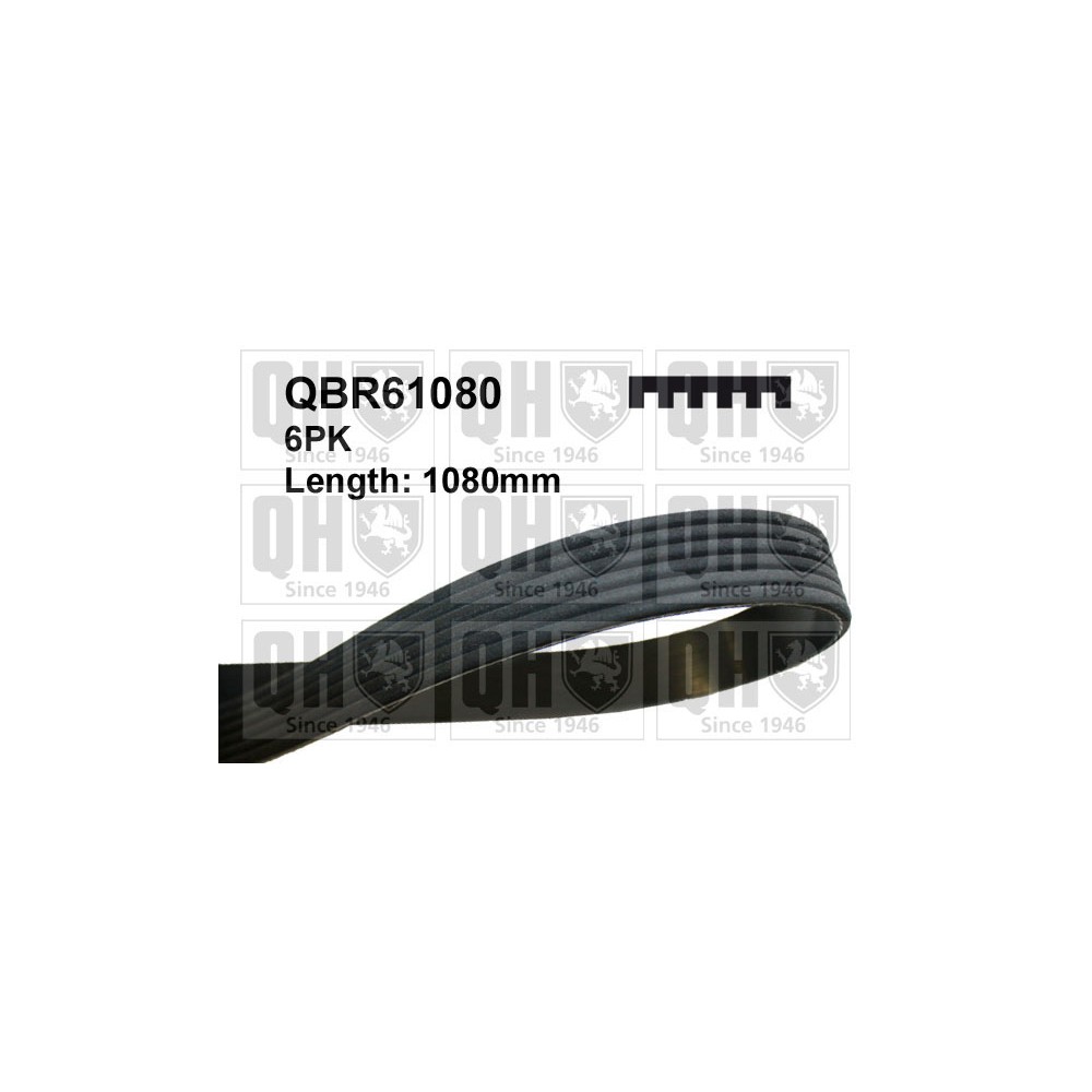 Image for QH QBR61080 MULTI-RIBBED BELT