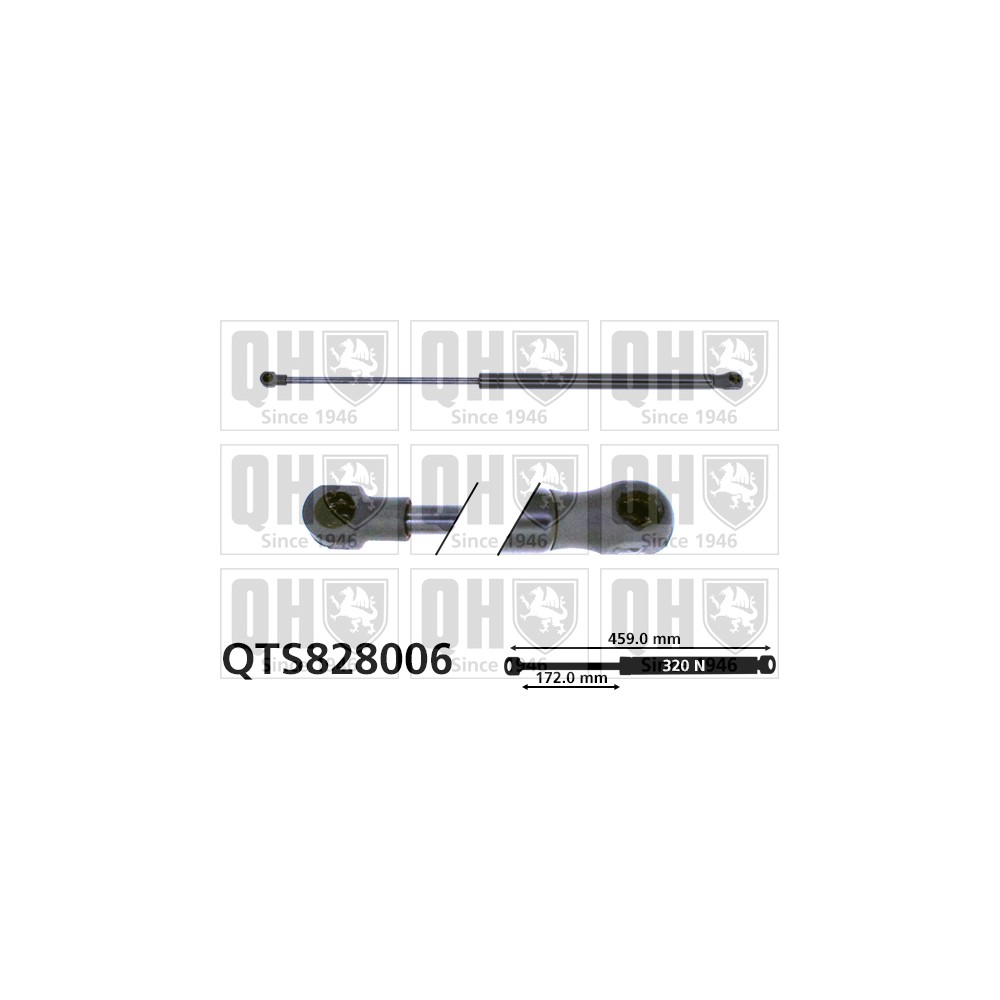 Image for QH QTS828006 Gas Spring