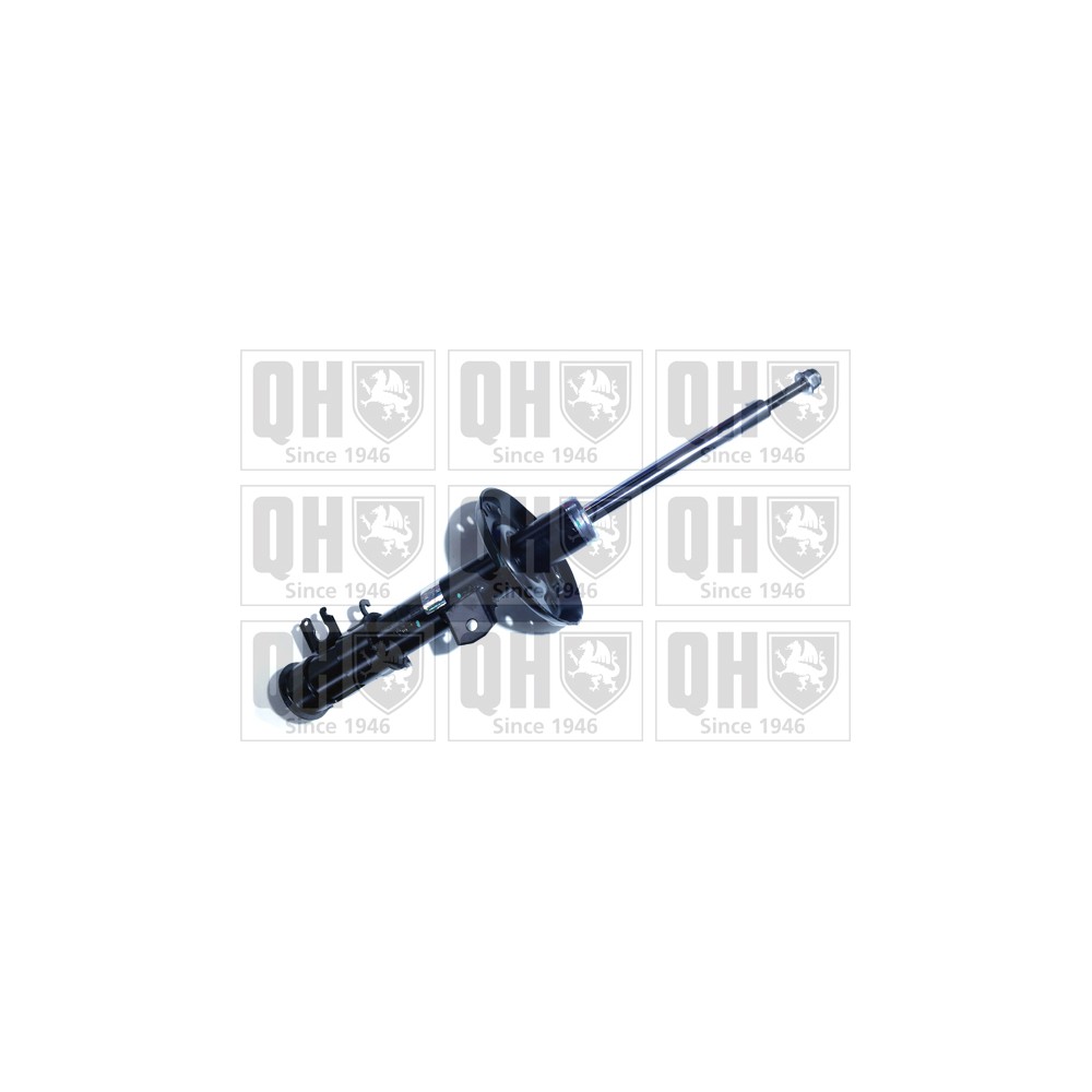 Image for QH QAG181067 Shock Absorber