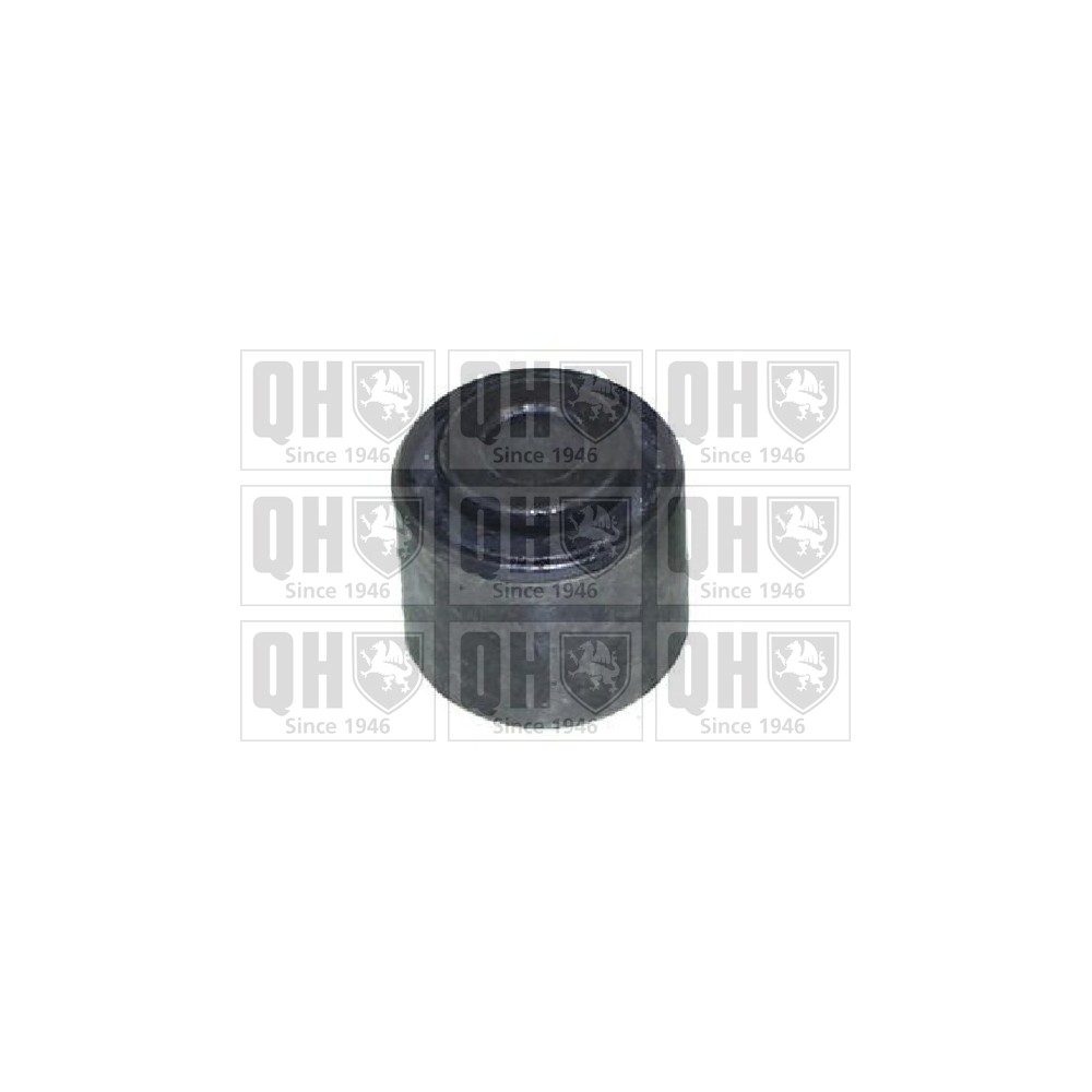 Image for QH EMS8526 Suspension Arm Bush - Rear Upper LH & RH