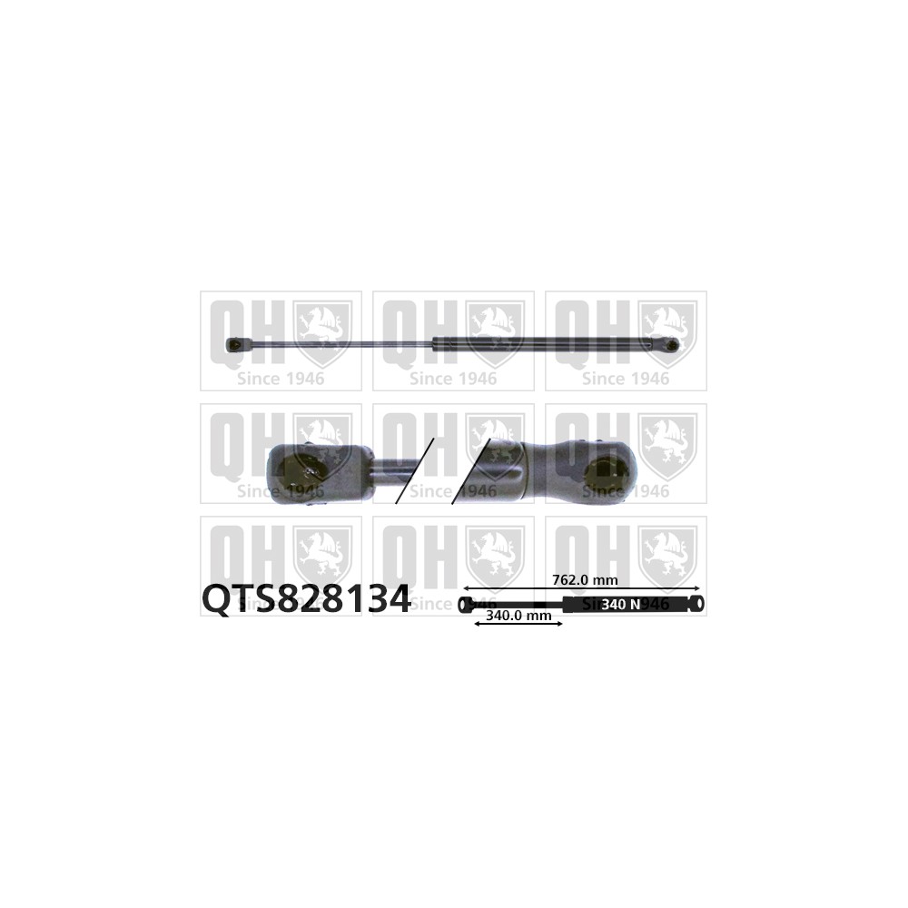 Image for QH QTS828134 Gas Spring