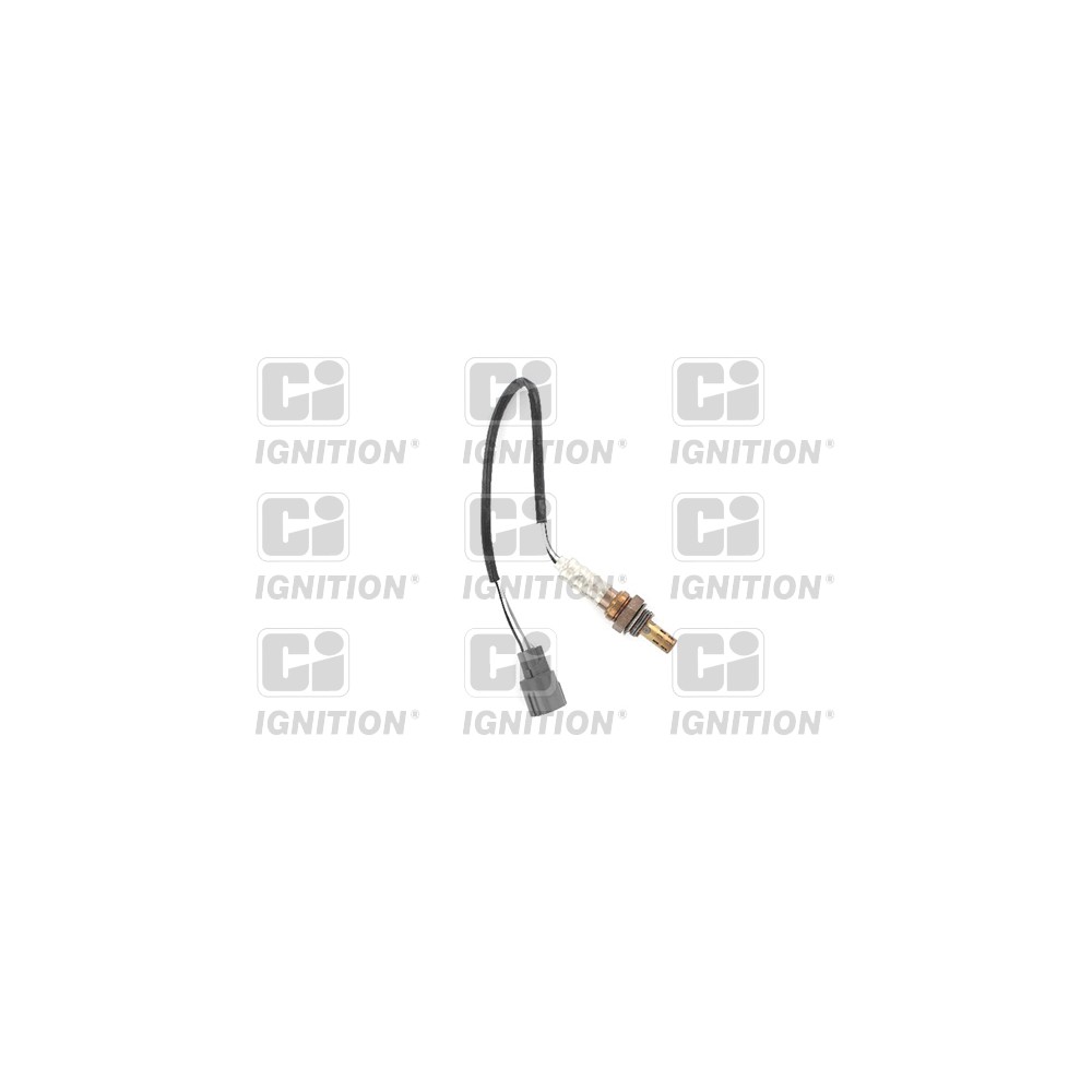 Image for Oxygen Sensor