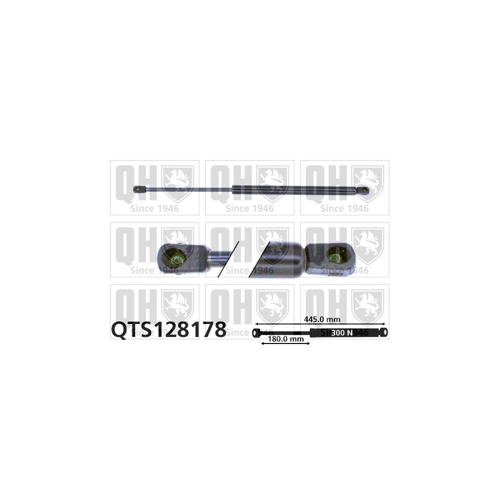 Image for QH QTS128178 Gas Spring