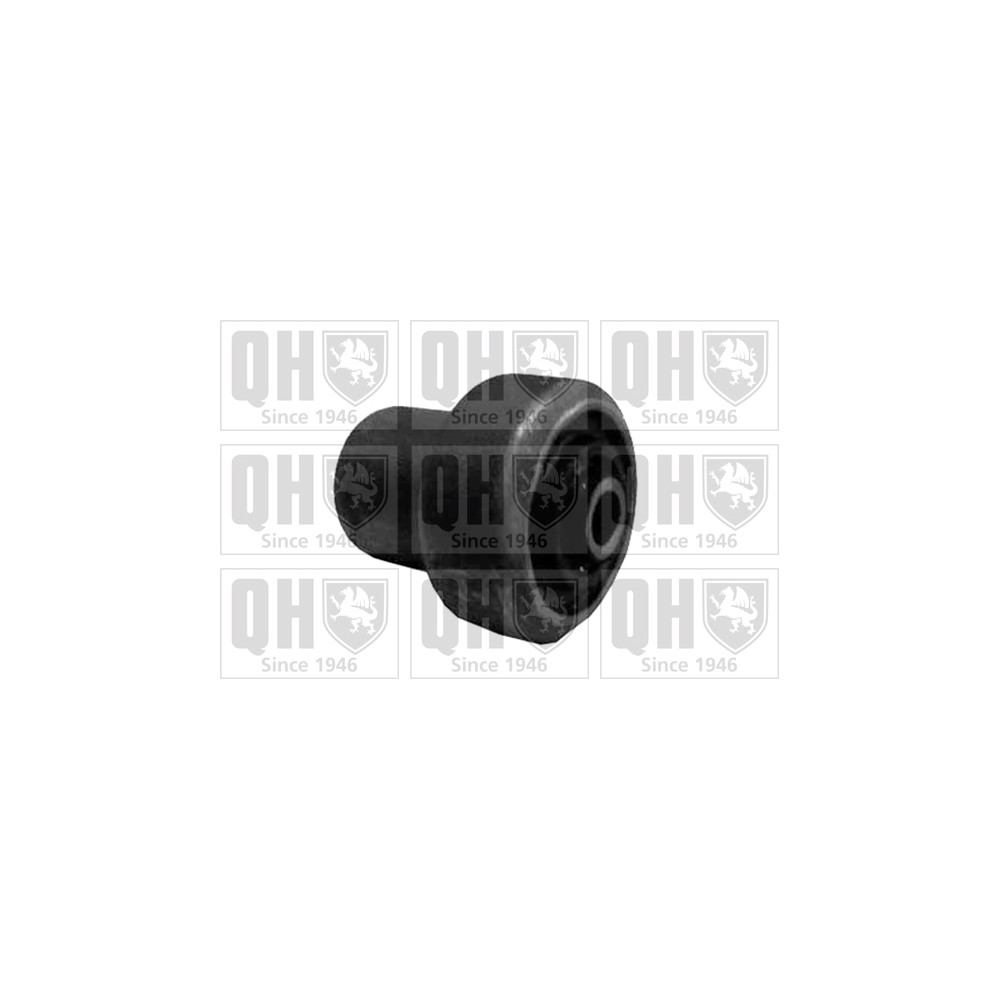 Image for QH EMS8492 Suspension Arm Bush - Front Lower LH & RH (Front)