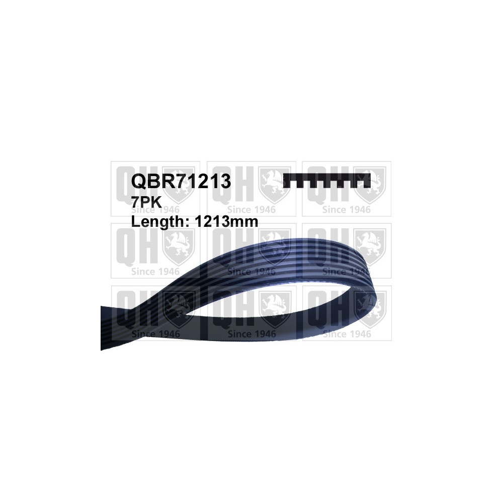 Image for QH QBR71213 Drive Belt