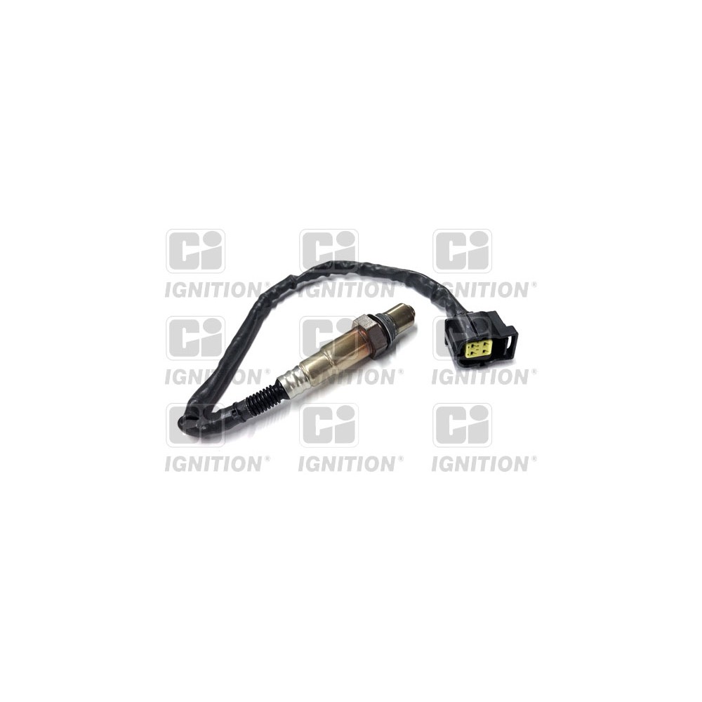 Image for Oxygen Sensor