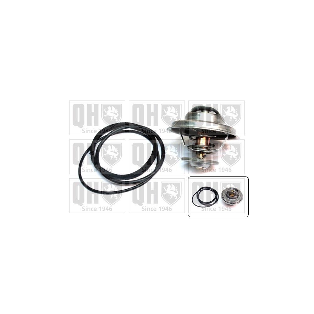 Image for QH QTH348K Thermostat Kit