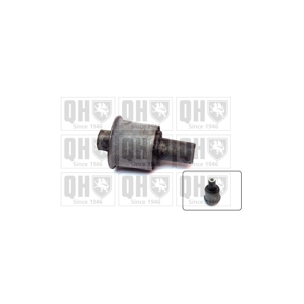 Image for QH EMS8261 Suspension Arm Bush - Front Upper LH & RH