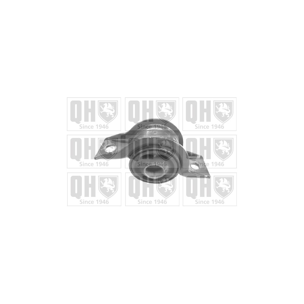 Image for QH EMS8253 Suspension Arm Bush - Front Lower LH & RH (Rear)