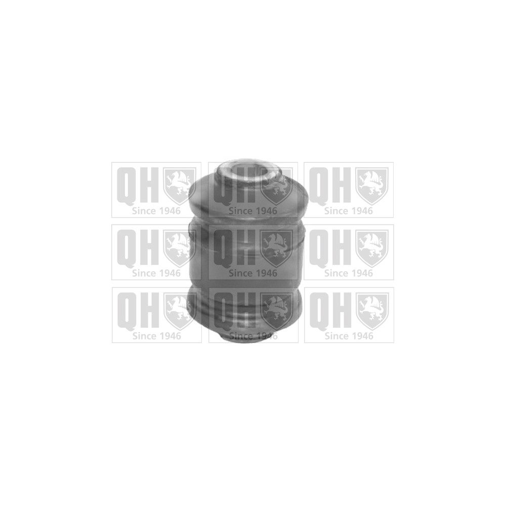 Image for QH EMS8279 Suspension Arm Bush - Front Upper LH & RH (Front)