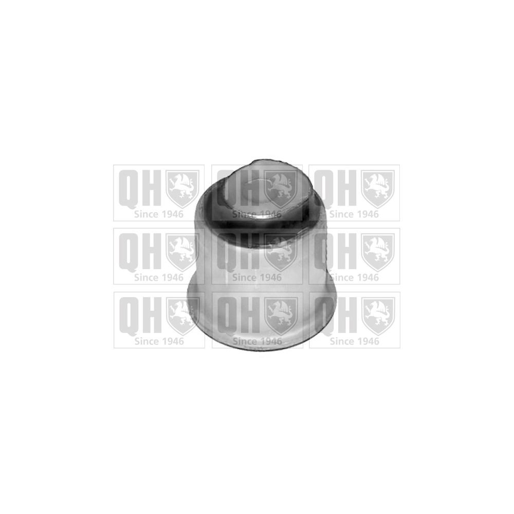 Image for QH EMS8226 Suspension Arm Bush - Front Lower LH & RH (Front)