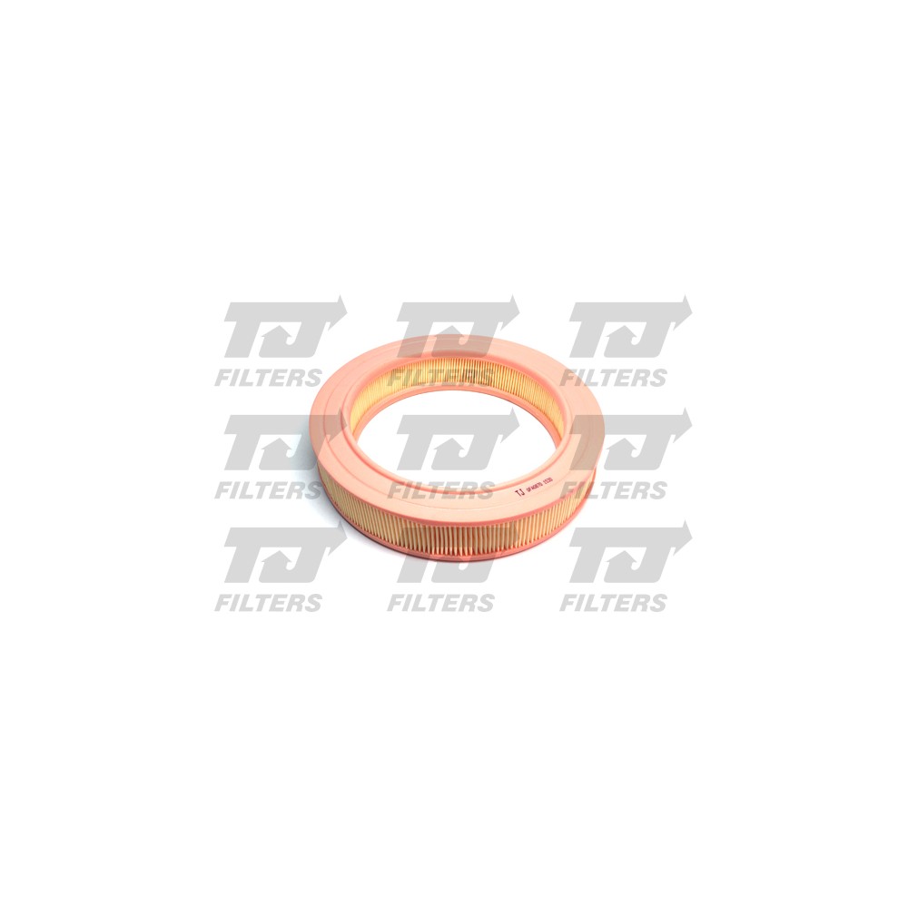 Image for TJ QFA0870 Air Filter