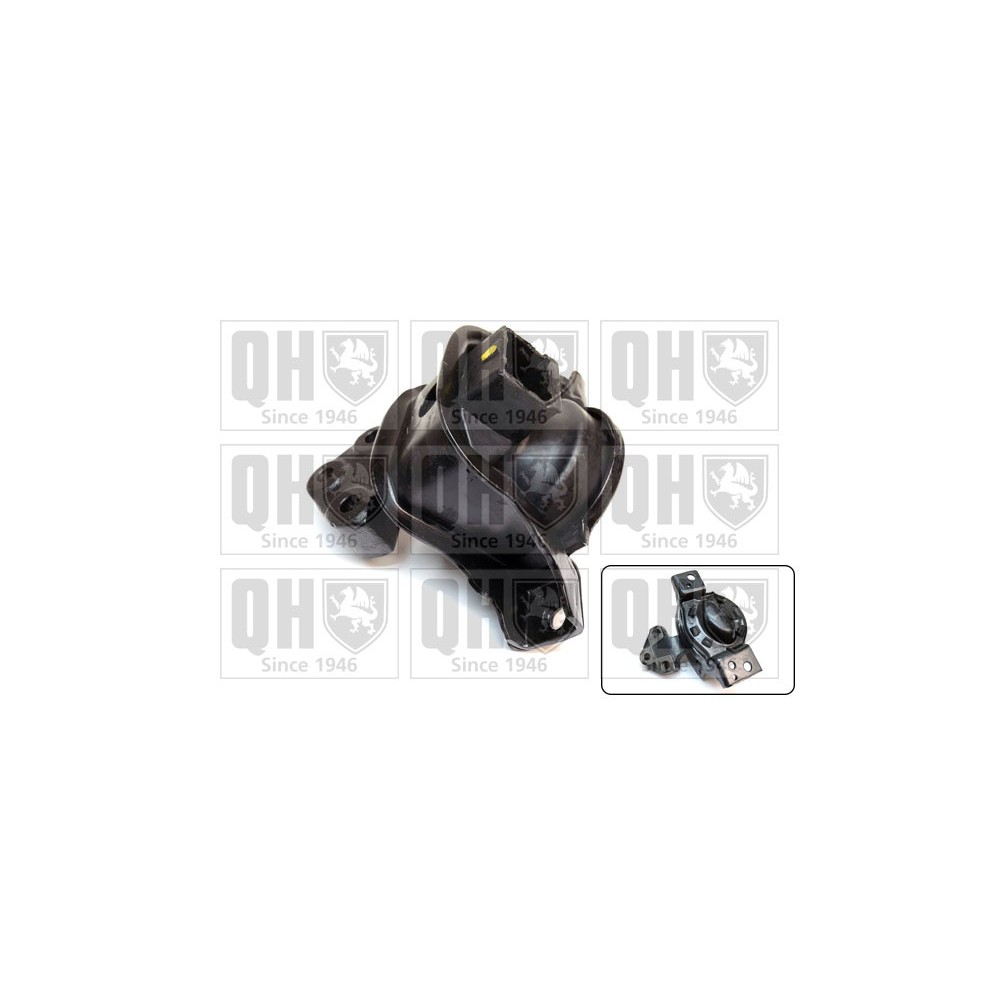 Image for QH EM4738 Engine Mounting