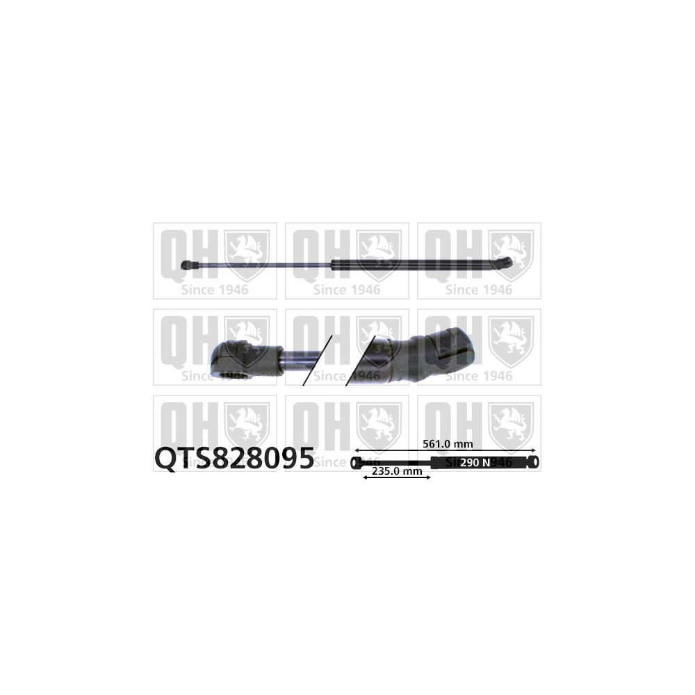 Image for QH QTS828095 Gas Spring