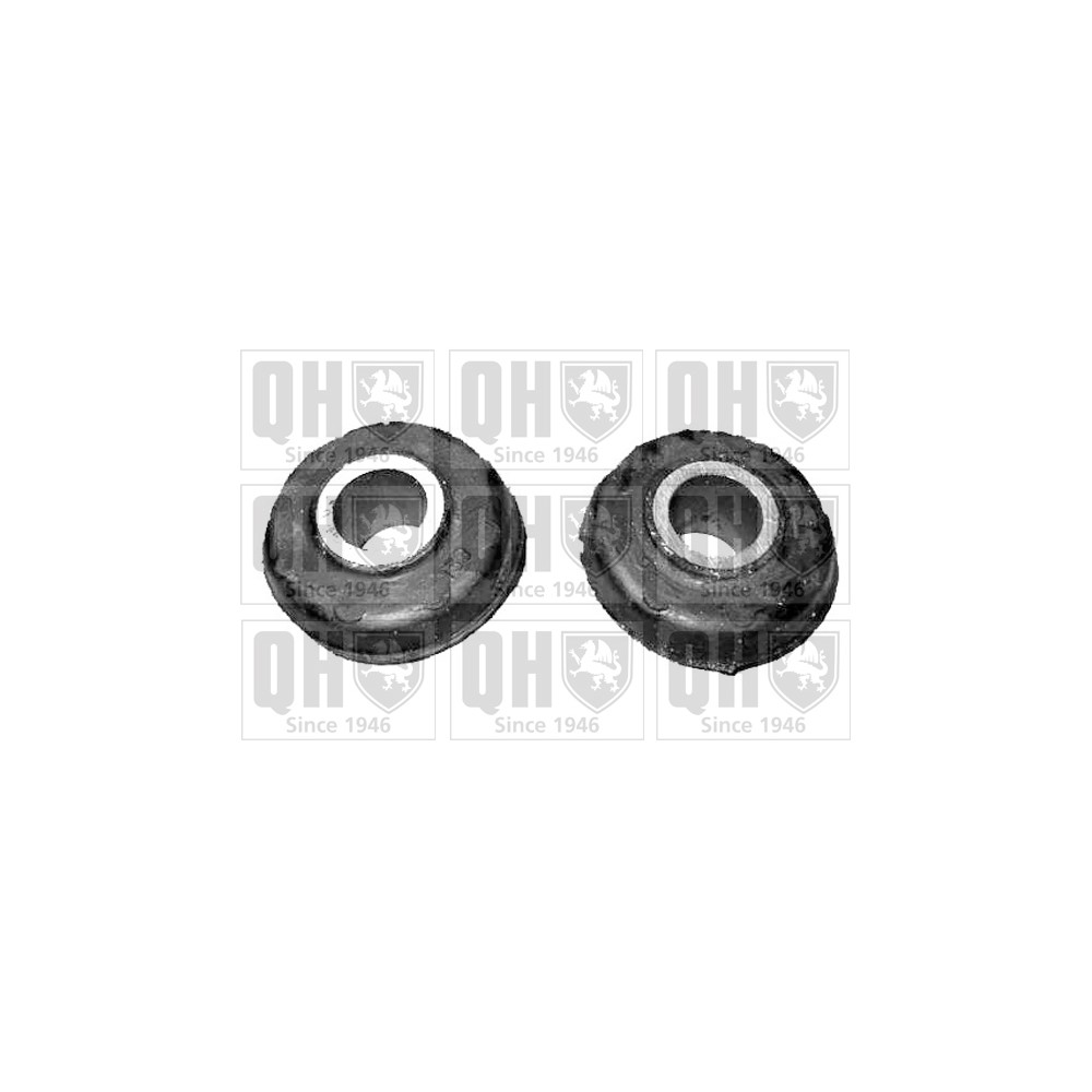 Image for QH QSK214S Suspension Arm Bush - Front Lower LH & RH (Outer)