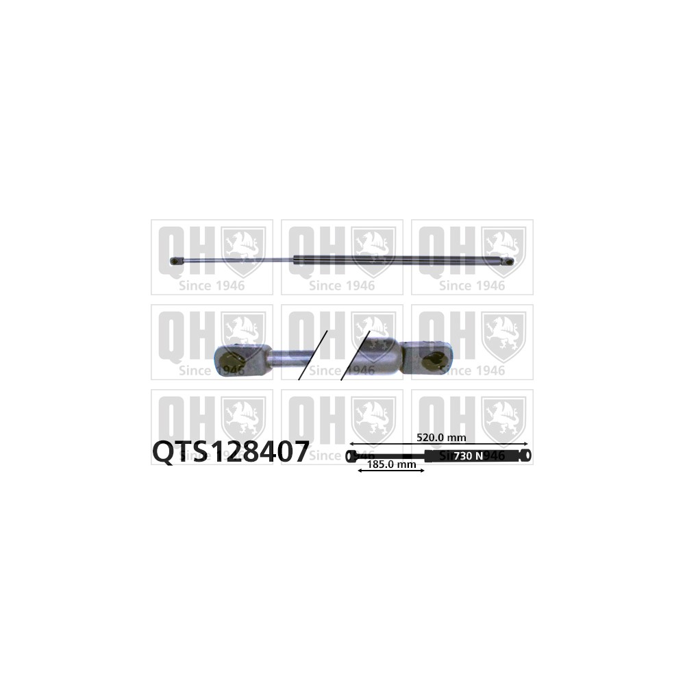 Image for QH QTS128407 Gas Spring