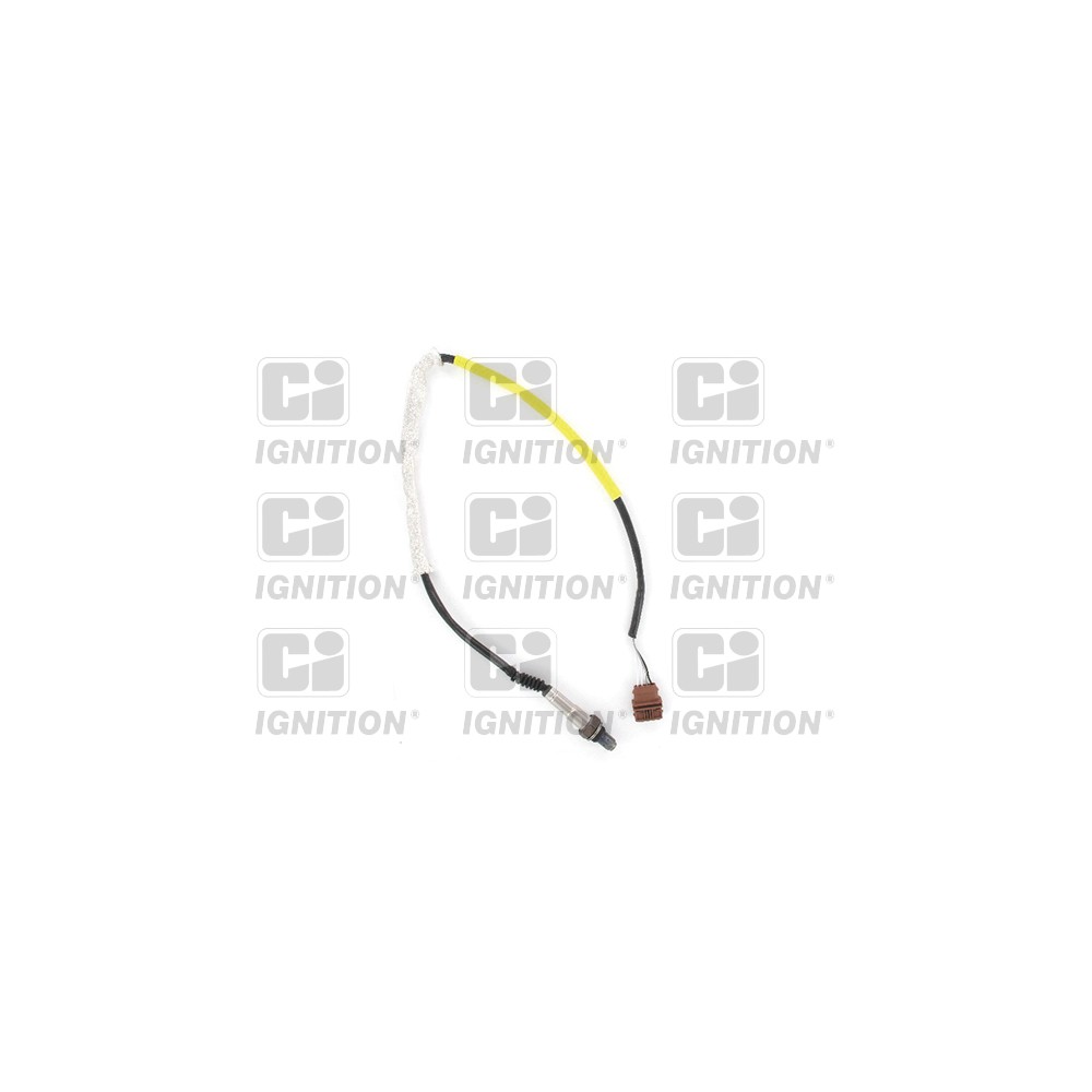 Image for Oxygen Sensor