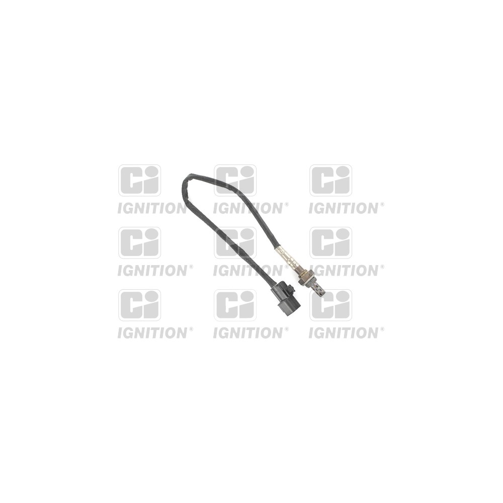 Image for Oxygen Sensor