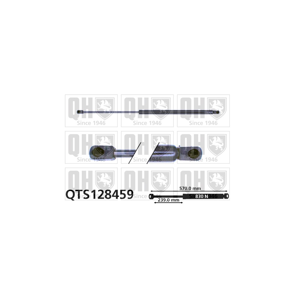 Image for QH QTS128459 Gas Spring