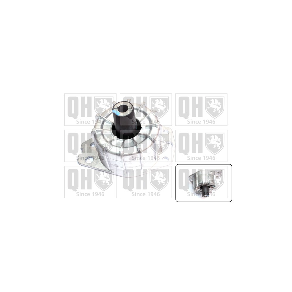 Image for QH EM4614 Engine Mounting