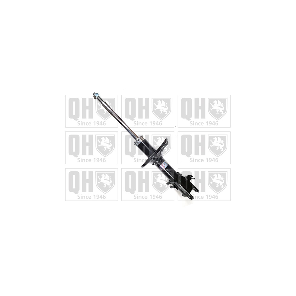 Image for QH QAG181006 Shock Absorber