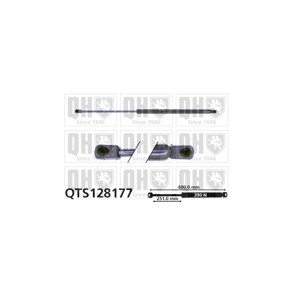 Image for QH QTS128177 Gas Spring