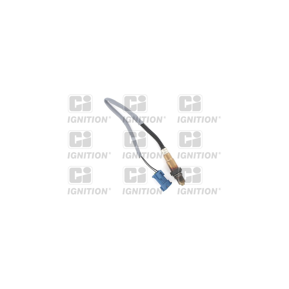 Image for CI XLOS1537 Oxygen Sensor