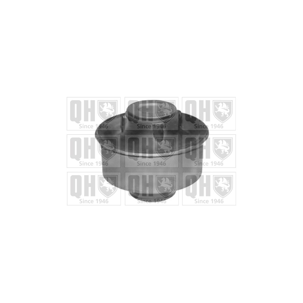 Image for QH EMS8193 Suspension Arm Bush - Front Lower LH & RH (Rear)