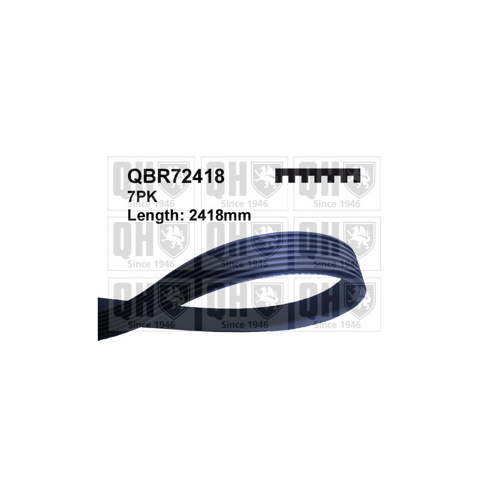 Image for QH QBR72418 MULTI-RIBBED BELT