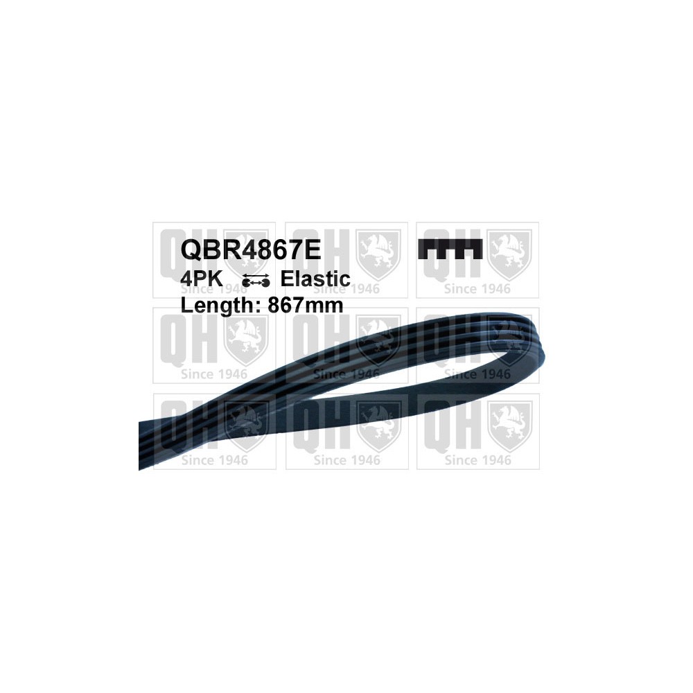 Image for QH QBR4867E Drive Belt