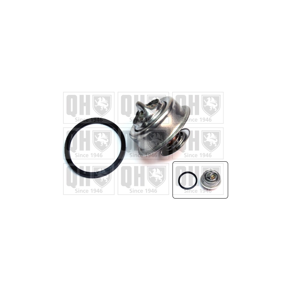 Image for QH QTH116K Thermostat Kit