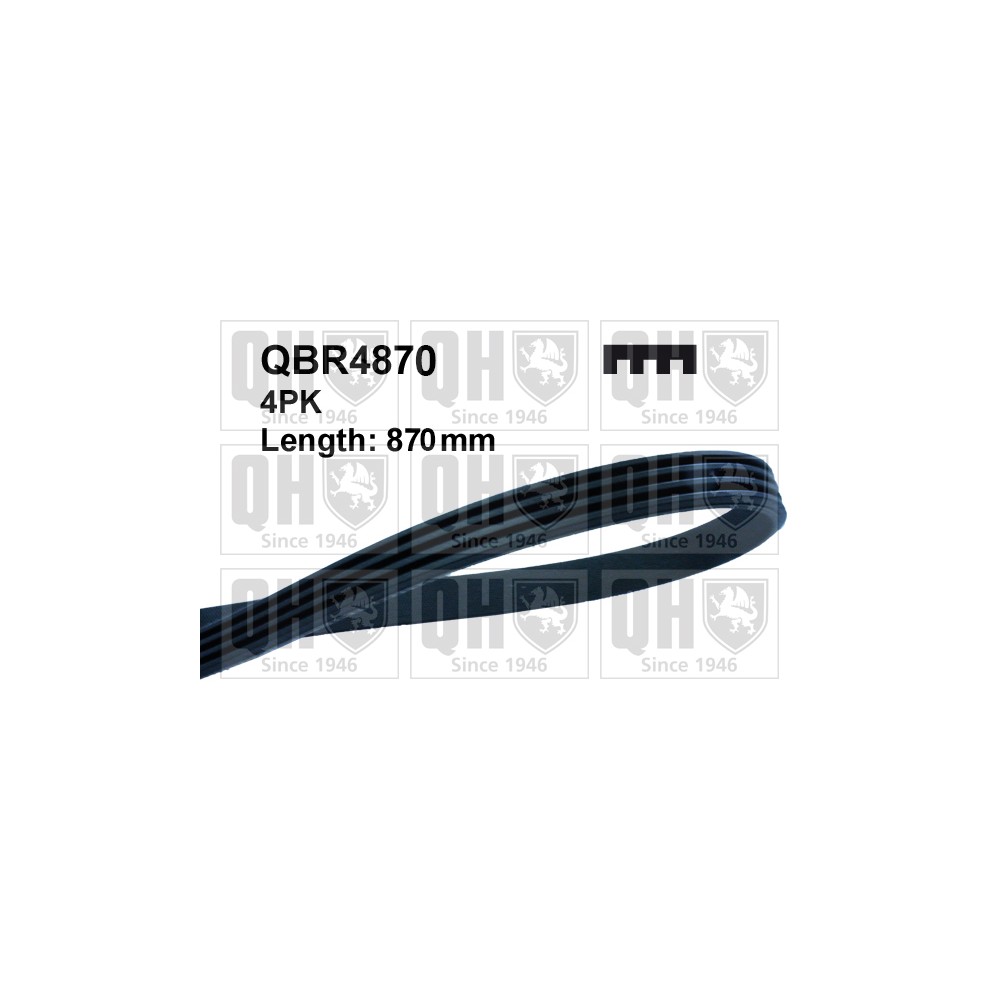 Image for QH QBR4870 Drive Belt