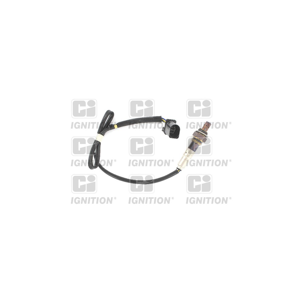 Image for Oxygen Sensor