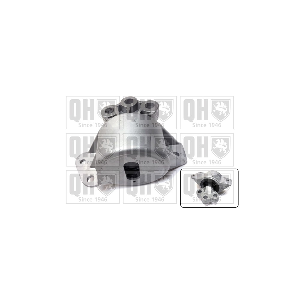 Image for QH EM4746 Engine Mounting