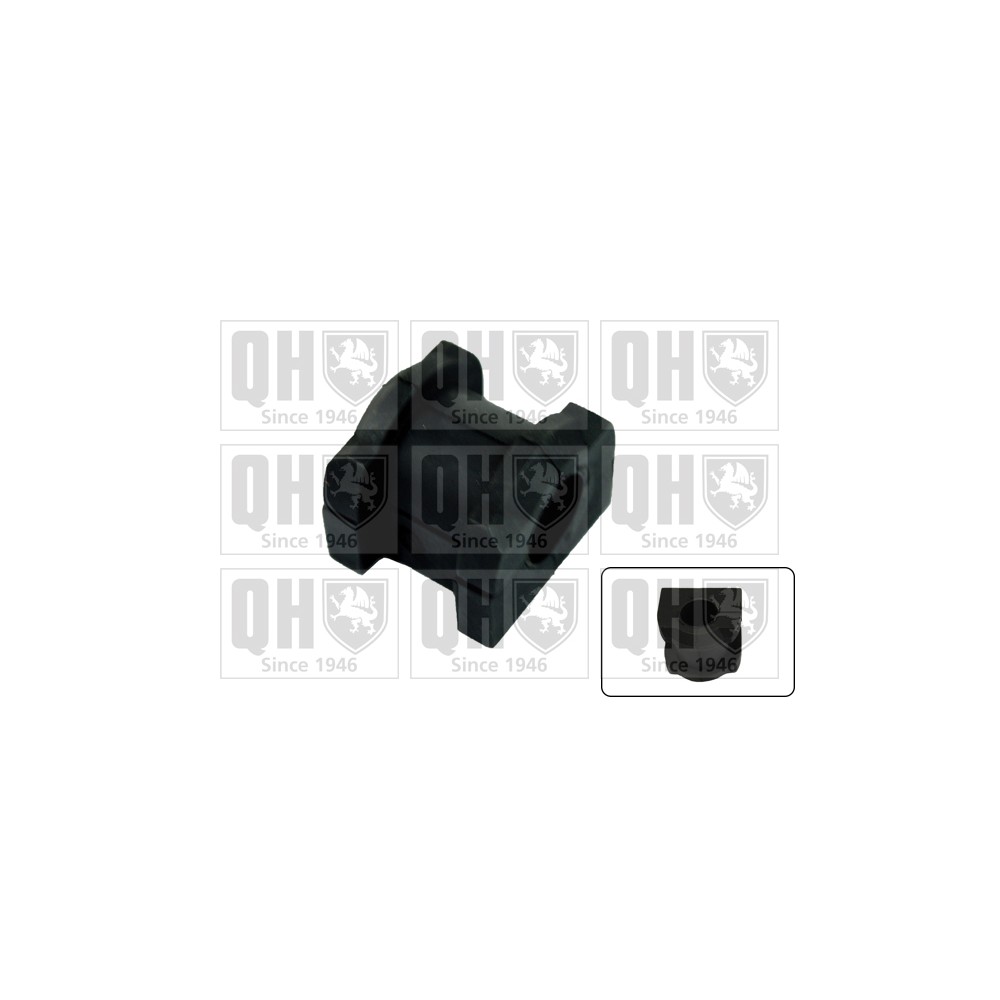 Image for QH EMB7278 Stabiliser Bar Bush