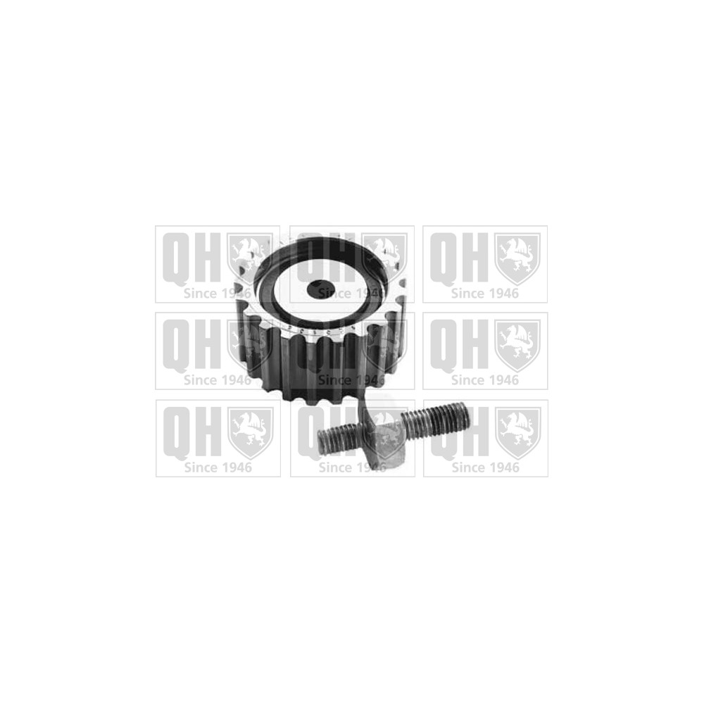 Image for QH QTT431 Timing Belt Tensioner