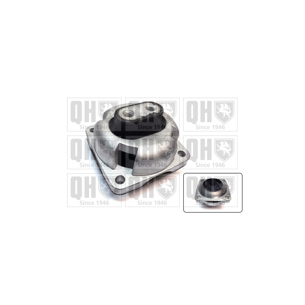 Image for QH EM4769 Engine Mounting