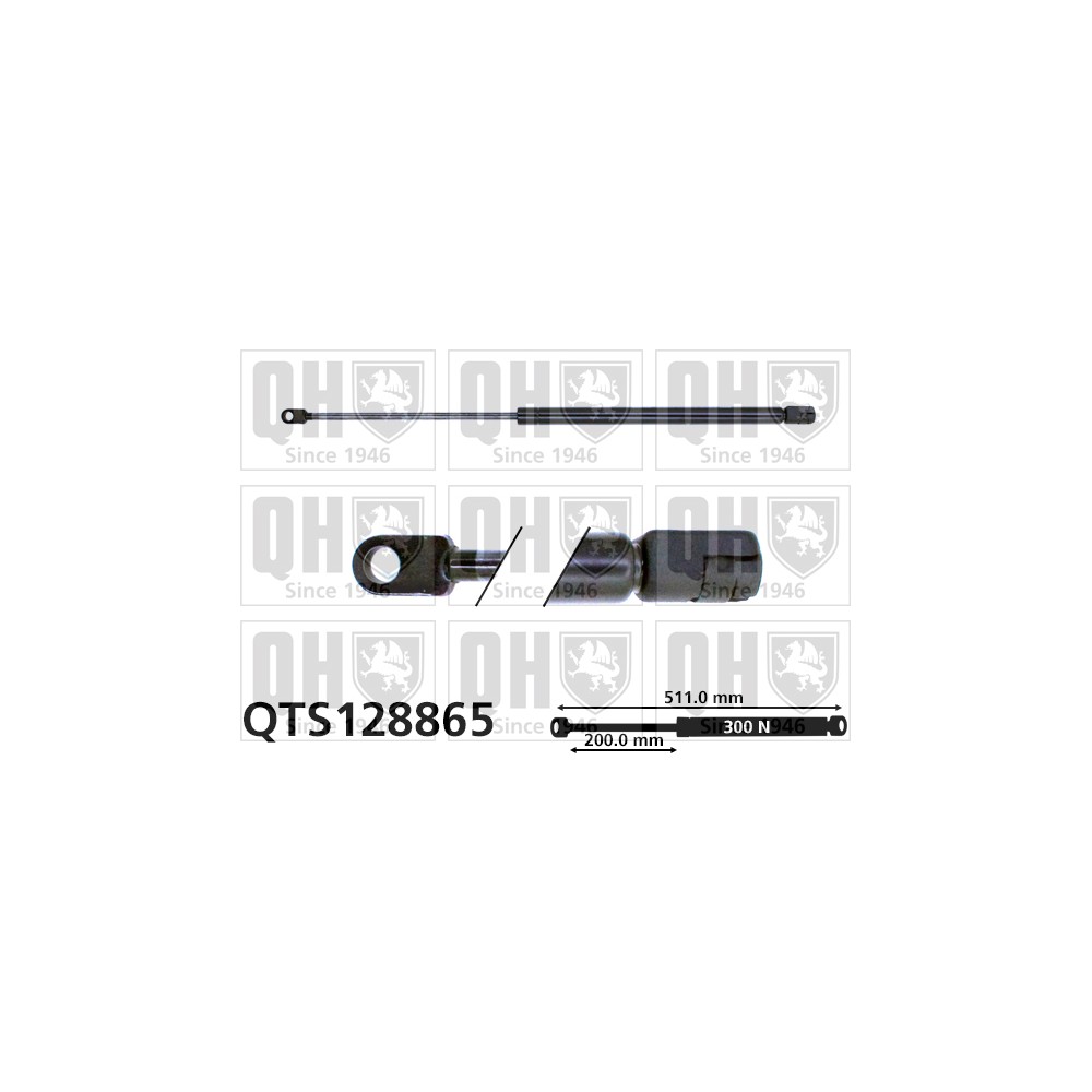 Image for QH QTS128865 Gas Spring